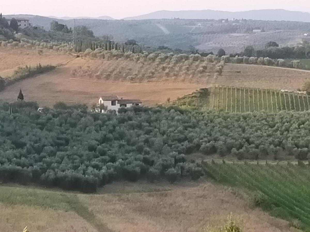 Villa Degli Olivi Nature Siena Exterior foto